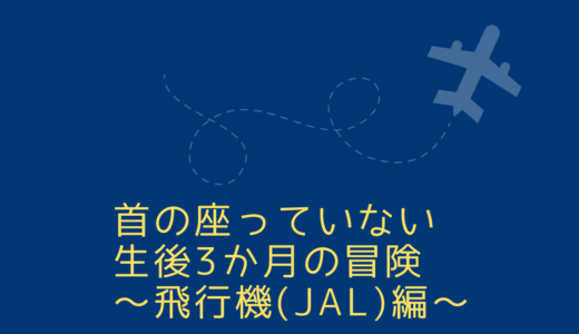 首の座っていない生後3か月と飛行機(JAL)に乗ってひいじじばばに会いに行ってきた～赤ちゃんとお出かけしたい～