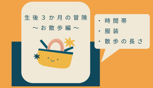 首の座っていない生後3か月と毎日のお散歩はどうしてる？～赤ちゃんとお出かけしたい～