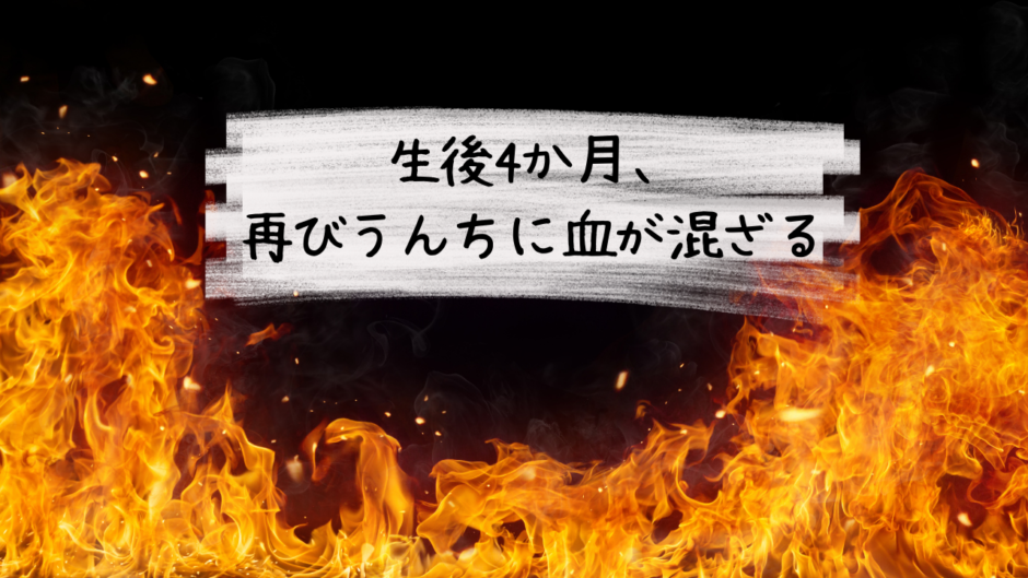 「生後4か月、再びうんちに血が混ざる」アイキャッチ画像