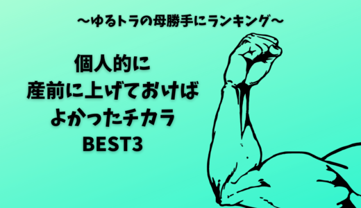 個人的に産前に上げておけばよかったチカラBEST3（ゆるトラの母勝手にランキング）