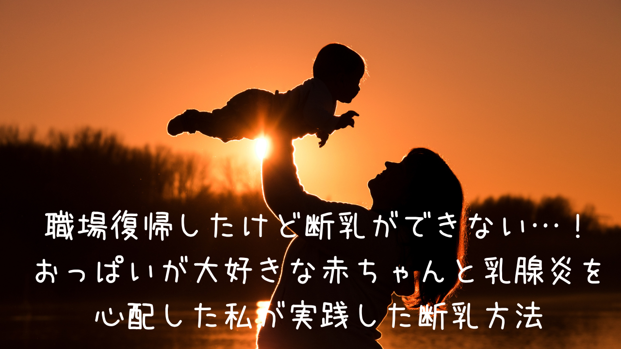 職場復帰したけど断乳ができない おっぱいが大好きな赤ちゃんと乳腺炎を心配した私が実践した断乳方法 ゆるトラ日記